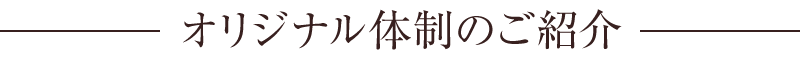 オリジナル体制のご紹介